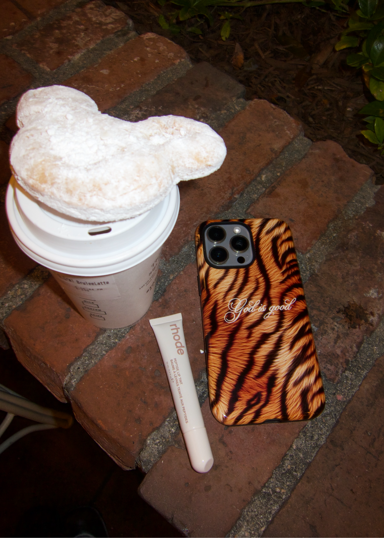 God is good Tiger Phone Case